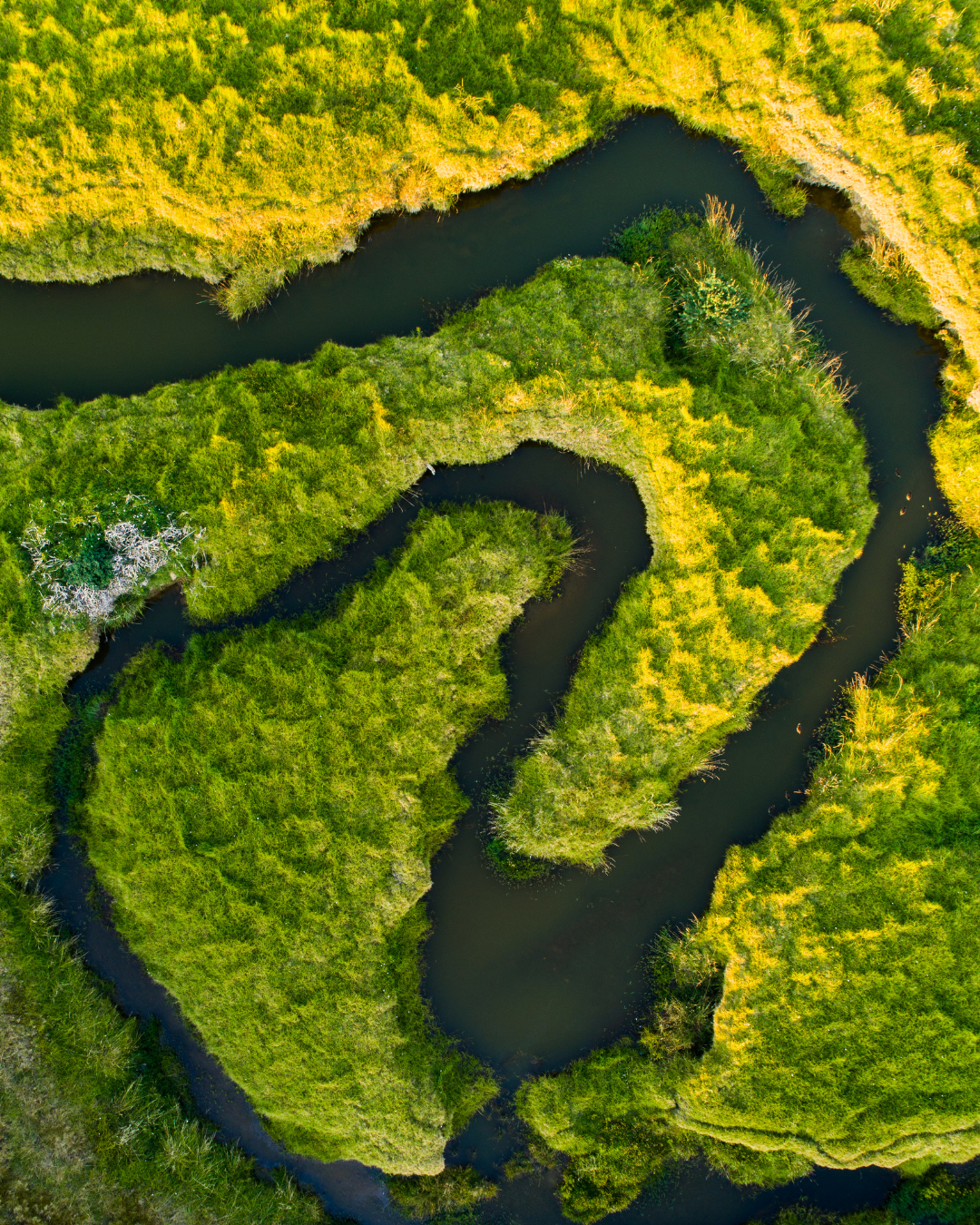 Sustainability Core Business