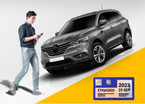 Motor Insurance